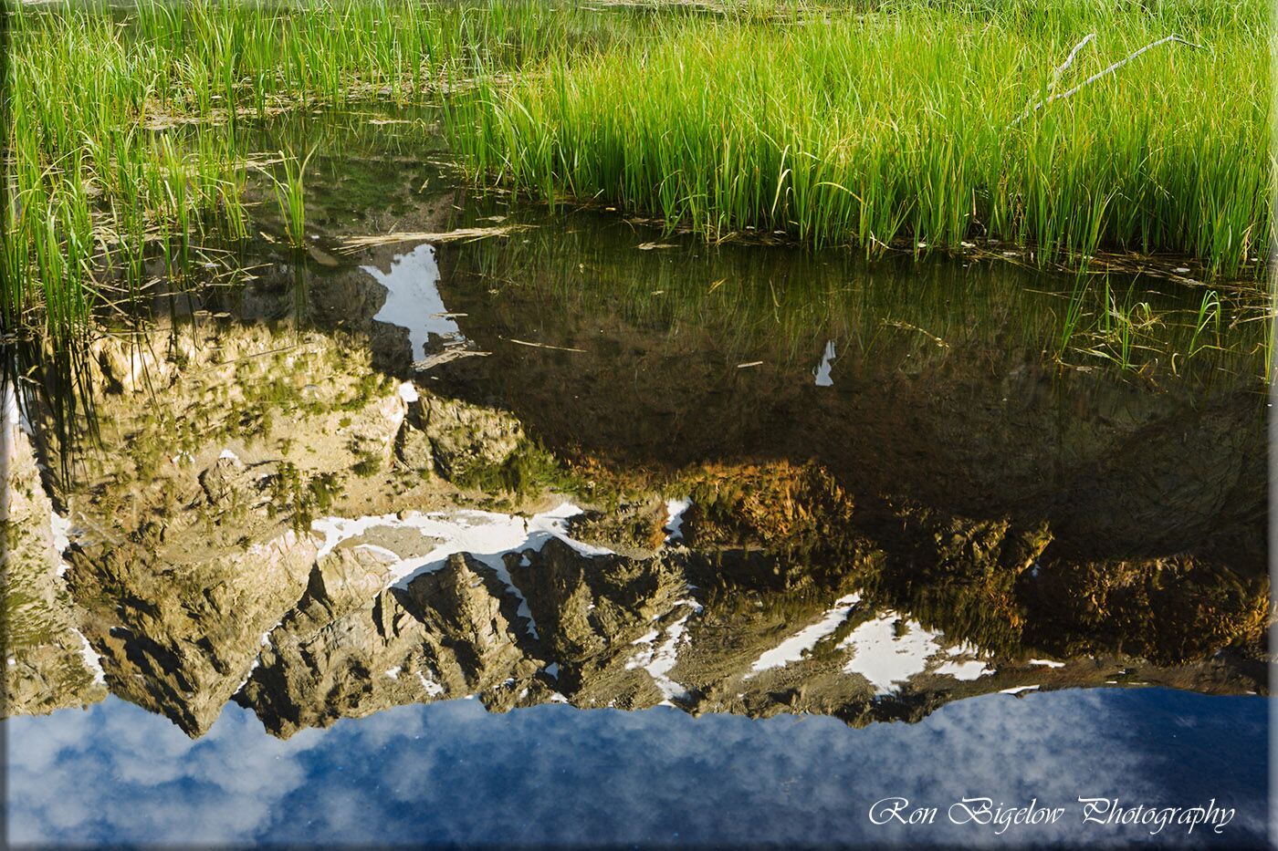 Ron Bigelow Photography - Beaver Pond Reflections