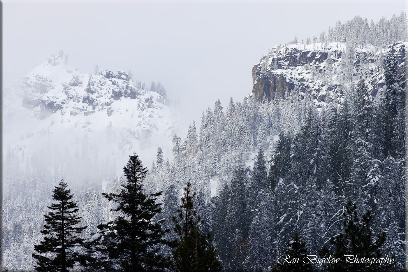 Ron Bigelow Photography - Snowstorm