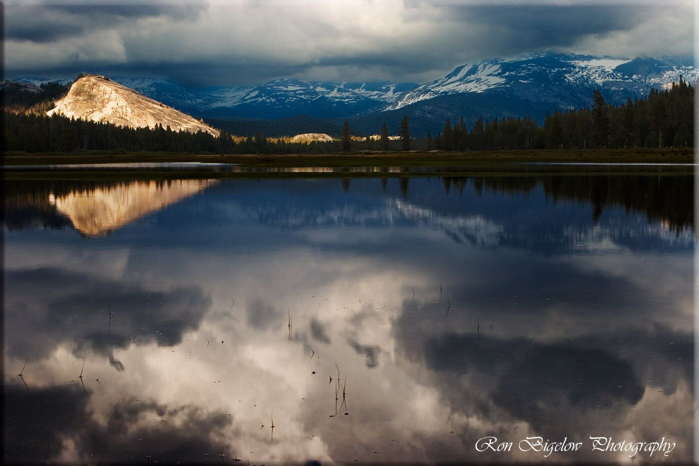 Ron Bigelow Photography - Toulumne Meadows