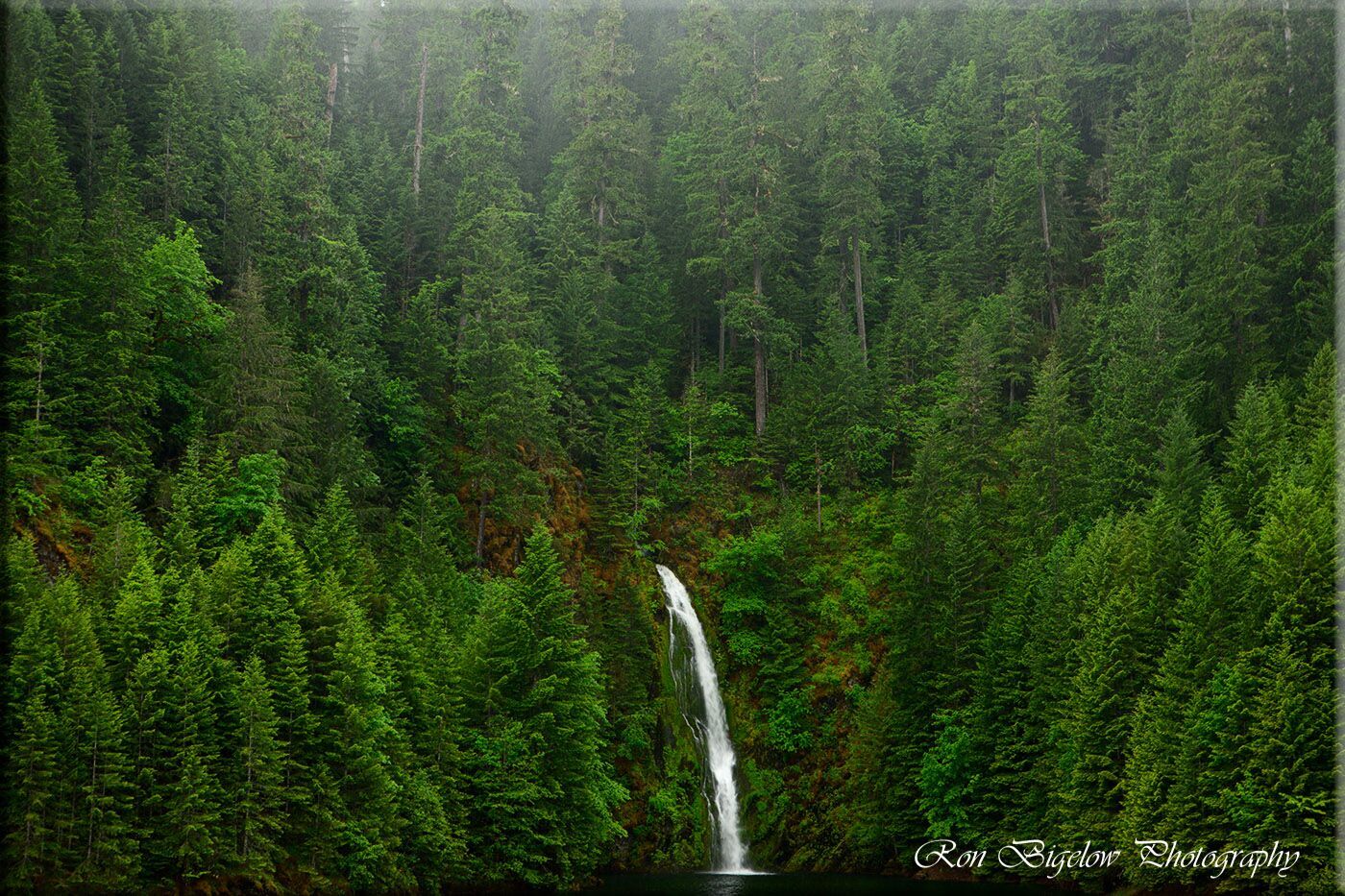 Ron Bigelow Photography - Rider Creek Falls