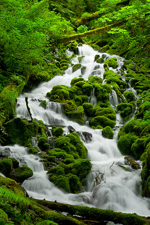 Ron Bigelow Photography - Wahkeena Falls