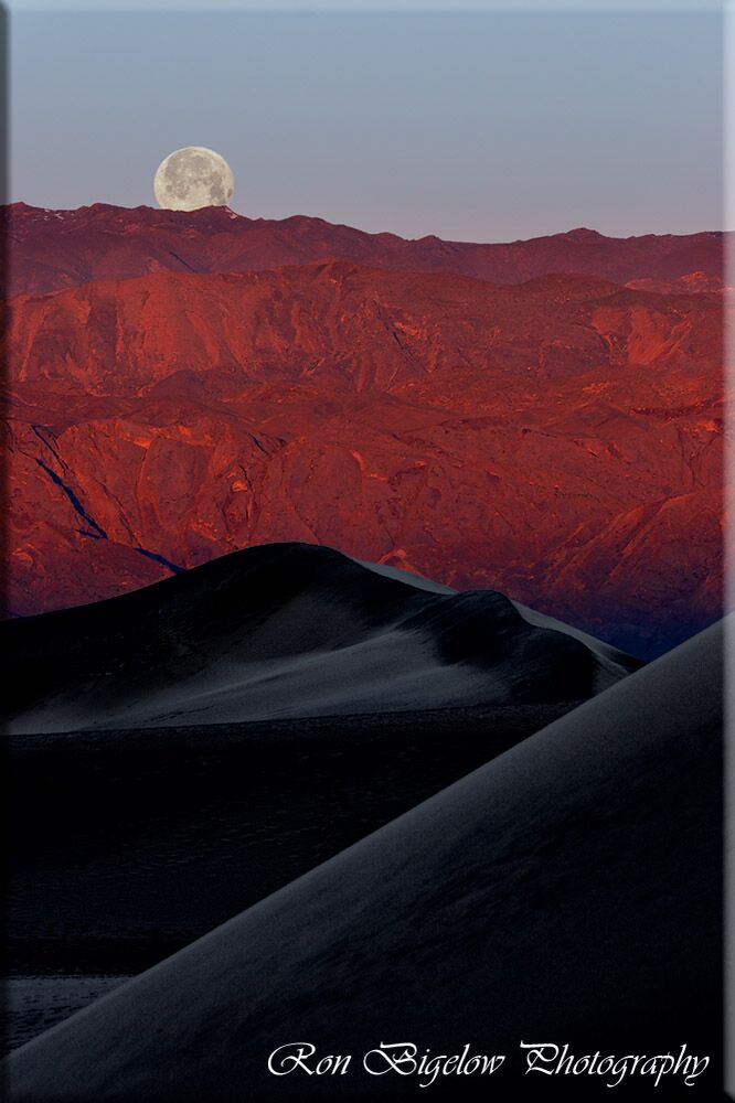 Ron Bigelow Photography - Desert Dunes