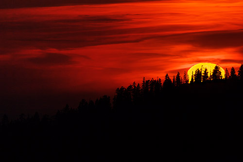 Ron Bigelow Photography - Toulumne Sunset